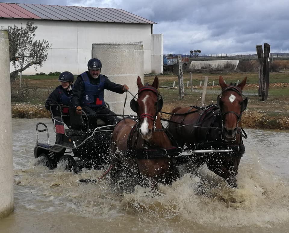 Resultados 1ª Fase del Campeonato Navarro de Enganches 2018 en el Club Deportivo Enganches Finca "La Pinturita"